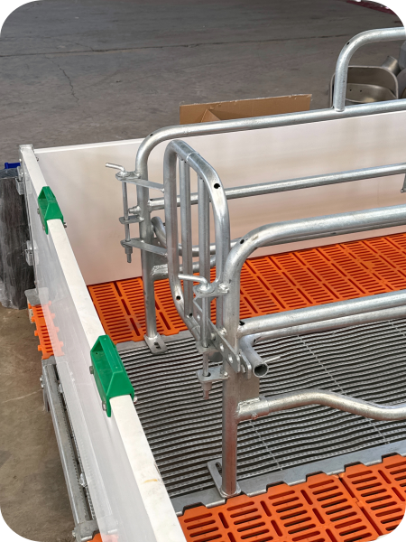 Hot-Dip Galvanized Sow Farrowing Crate & Gestation Stall